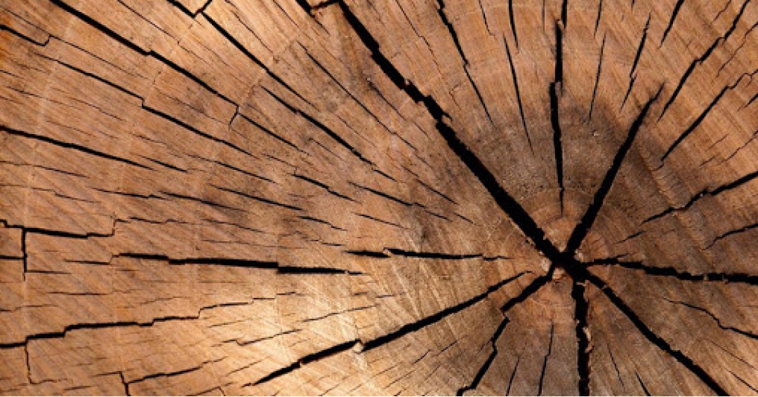 روکش ملچ روکش ملچ